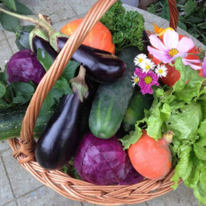 Au panier de L'envigne