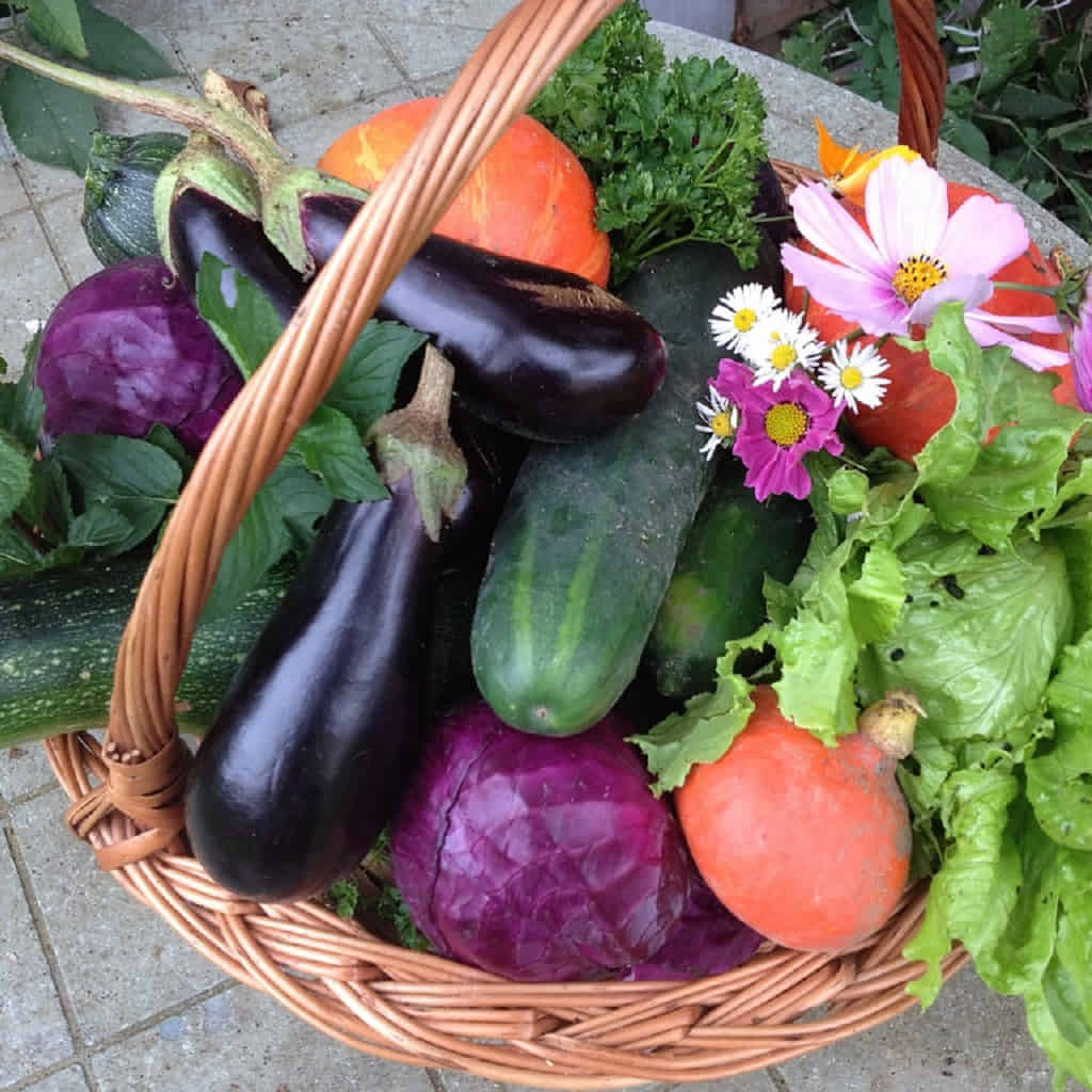 Au panier de L'envigne